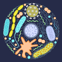 /blogs/news/the-microbiome-weight-maintenance-and-overall-well-being